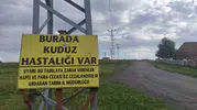 Ardahan’da bir mahallede kuduz alarmı verildi