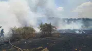 Bilecik’te hasat sonrası yangın dehşeti