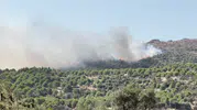 Ödemiş'te orman yangını Alevlere havadan ve karadan müdahale sürüyor
