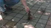 İnegöl’de bir çay bahçesinde beklenmedik dostluk