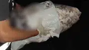 İstanbul'dan gelen uyuşturucu sevkiyatı ve sokak satıcısı polis ağına takıldı