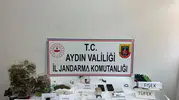 Jandarma 11 adrese aynı anda girdi, 4 kişi cezaevinde