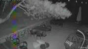 Ankara'da restoranın bahçesine giren ayı yavruları kameralara yakalandı
