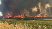 Çanakkale ormanlarında yangın bilançosu yarı yarıya azaldı