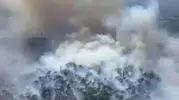 Edremit’te orman yangını paniği