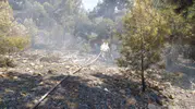 Bekilli orman yangını büyümeden söndürüldü