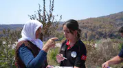 Seydikemer yangınında büyük hasar tespiti başladı