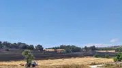 Bozüyük’te tarlalar yandı ekipler felaketi önledi