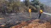 Milas Bafa'da korkutan tarım arazisi yangını büyümeden söndürüldü