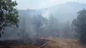 Bursa Büyükorhan ormanlarında alevler yükseliyor