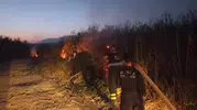 Samandağ’da kamışlık alanda korkutan yangın