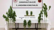 Jandarma üç ilçede bastı 7 gözaltı, 5 serbest