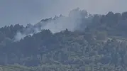 İnegöl ormanlarında yangın paniği