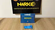 Ordu’da narkotik ekipleri iki zehir tacirini yakaladı