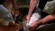 Alihan Kuriş soruşturmasında kritik delil operasyonu