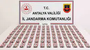 Döşemealtı’ndaki evlere uyuşturucu baskını