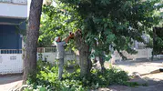 Nazilli belediyesi parklarda sonbahar mesaisine başladı