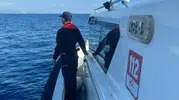 Datça'da deniz kaplumbağası bir kişiyi ısırdı