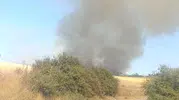 Çanakkale Ezine’de alevler ormana sıçradı
