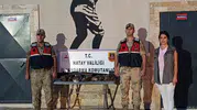 Doğaya karşı işlenen suçun bedeli ağır oldu: 7 arı şahini için milyonluk fatura