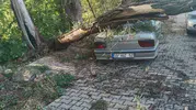 Beyşehir'de rüzgarın şiddeti park halindeki aracı hurdaya çevirdi