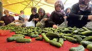 Bolu pazarlarında kış telaşı: Mutfaklarda hazırlık mesaisi başladı