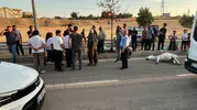 Balpınar yolunda beklenmedik kaza: Hayvan telef oldu
