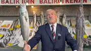 Denizlerde hasret bitti: Tezgahlarda palamut ve hamsi bereketi yaşanıyor