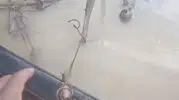 Sel suları emeğini alıp götürdü ama o minik canlıları unutmadı