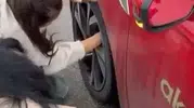 Trafik durdu, herkes o minik can için seferber oldu