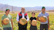 Elazığ topraklarında bereketli hasat: Kabak üretimi rekor seviyeye koşuyor