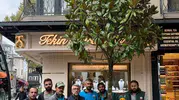 Fatih'te ağaç katliamına belediyeden yeşil yanıt: Yerine daha görkemlisi dikildi