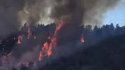 Kızılcahamam'da korkutan alevler: Yayla bölgesinde orman yangını paniği