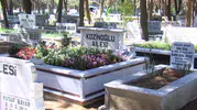 Kaşif Kozinoğlu dosyasında kritik gelişme: Mezarı açılacak