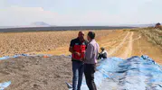 Karapınar'ın bereketli topraklarında hummalı mesai: Çiftçinin yüzü hasatla gülüyor