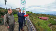 Gökyüzünün gezginleri yeniden özgür: Rize'de tedavi edilen arı şahinleri göç yolculuğuna uğurlandı