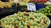 Sivas tezgahlarında şifa arayanların yeni adresi: Hünnap meyvesi