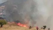 Tunceli'nin sarp vadisinde alevlerle zorlu mücadele