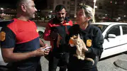 Motor kaputundan gelen ses mahalleliyi ayağa kaldırdı: Küçük misafirin zorlu kurtuluşu