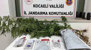 İzmit'te jandarma baskını: İki adreste zehir tacirlerine ağır darbe