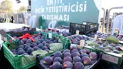 Bursa'nın Siyah İnciri Göl Kıyısında Taçlanıyor: 12. Akçalar Fadıllı İncir Festivali İçin Geri Sayım Başladı