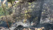 Alanya'da korkutan alevler: Ekiplerin zamanla yarışı sonuç verdi
