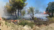 Serik'te korkutan alevler: Felaketin eşiğinden dönüldü