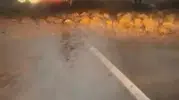 Uludağ yolunda sabah saatlerinde büyük tehlike: Dağdan kopan kaya parçaları trafiği kesti