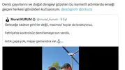 Denizlerin geleceği için kritik adım: Emine Erdoğan'dan destek mesajı