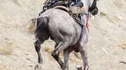 Ankara TMO Spor Kulübü Erzincan'daki zorlu sınavı başarıyla geçti