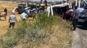 Kırşehir yolunda korkutan kaza: Hayvan taşıyan tır devrildi