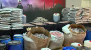 İstanbul Narkotik Polisi Zehir Tacirlerine Göz Açtırmıyor: Bir Ayda Tonlarca Uyuşturucu Ele Geçirildi