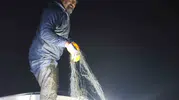 Kovada Gölü'nde gece operasyonu: Kaçak avcıların ağına takılan balıklar özgürlüğüne kavuştu