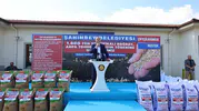 Gaziantep'te tarımsal üretim seferberliği: Binlerce ton tohum toprakla buluşuyor